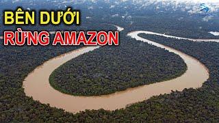 Những Bí Ẩn Rùng Rợn Bên Dưới Rừng Amazon | Thiên Hà TV