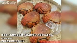 欣海豐／蝦鮮生蟹小姐-花蓮海鮮批發 活海鮮 冷凍食品 花蓮海鮮 花蓮海鮮推薦 花蓮縣海鮮批發