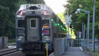 NJ Transit/Metro North: Great Horns at Ho-Ho-Kus (6/1/24 and 6/3/24)