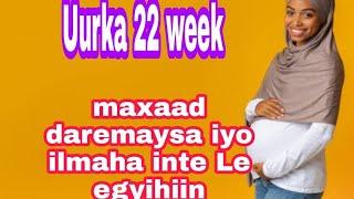 Uurka 22 week maxaad daremaysa iyo ilmaha xalkodu waside