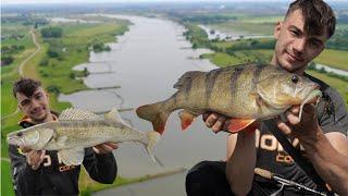 50er Barsch | Spinnfischen vom Ufer in den Niederlanden | Chatterbait & Jig Spinner im Flachwasser