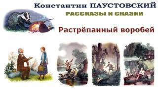 К.Паустовский "Растрёпанный воробей" - Рассказы и сказки Паустовского - Слушать