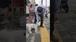 전도 중에 만난 강아지. 예수비전성결교회 안희환목사