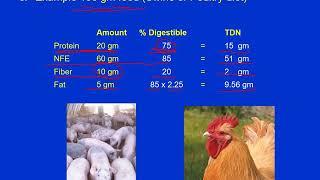 Nutrition 5 Evaluation of Feedstuffs