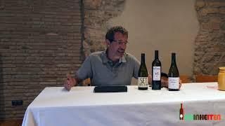 Estones Celler - Sergi Montalà - DO Montsant