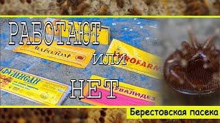 Куда уходят наши деньги? От результата мы в шоке!!!