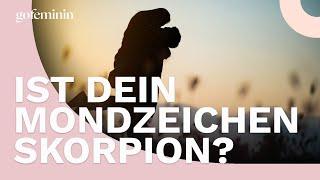 Das bedeutet es, wenn dein Mondzeichen Skorpion ist