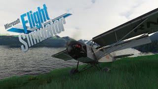 It might as well be a helicopter | Bush Flying in the Shock Ultra Cub | MSFS 2020