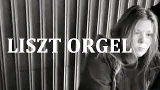 Liszt - Phantasie „Weinen, Klagen, Sorgen, Zagen“ - Pneumatische Pirchner Orgel, Tirol