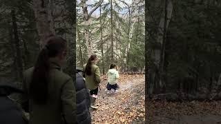 Cute Little Explorer: Cute Girl Hikes Through the Forest #hiking #cutegirl #explorer #hikes #short