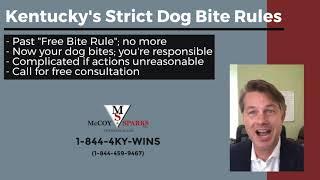 Kentucky's Strict Dog Bite Laws | McCoy and Sparks Law Firm