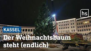 Er steht! Weihnachtsbaum in Kassel nachts auf Königsplatz aufgestellt | hessenschau