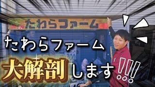 たわらファームさんの畑を大解剖します！！