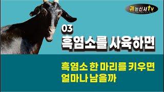 흑염소를 사육하면 03 한 마리당 얼마나 남을까  수익액과 수익율