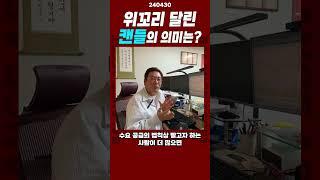 위꼬리 달린 캔들의 의미는