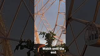 watch until the end