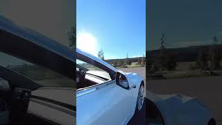 Tesla Model 3 - Yellowstone Bison #shorts