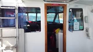 EP_8 Assistance Animal @ Whitehaven Express Tour to Whitehaven and Hill Inlet Boat Walkthrough