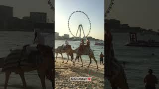 JBR Beach Dubai | Weekend Vibes at Jumeirah Beach Dubai  #youtubeshorts #ytshorts #dubai #jbr