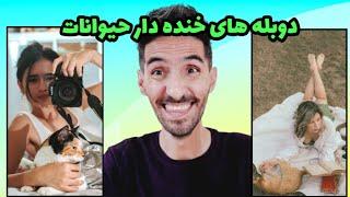 خنده دارترین دوبله های حیوانات ️فقط لهجه مازنی و مشهدی پارت 3