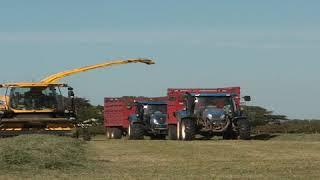 Jamie corkish raking and Philip Hampton chopping silage 2020 (2)