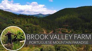 RIVER VALLEY FARM FOR SALE - STREAM, FOREST, STONE RUIN - CENTRAL PORTUGAL OFF-GRID PARADISE