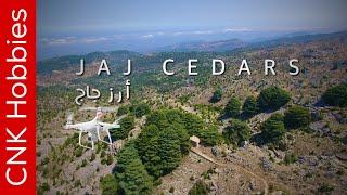 Jaj Cedar Forest by Drone | غابة أرز جاج