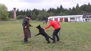 Argo Demi Moravia - 8 months old (part 1)