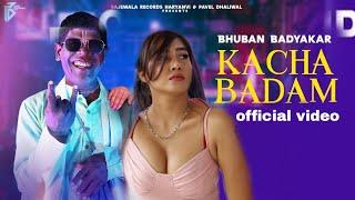 Kacha Badam Song | Bhuban Badyakar | Sofia Ansari | Kacha Badam Song Remix |