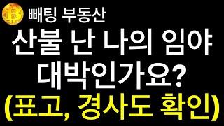 부동산  산불이 난 나의 임야는 대박난 것인가요?  표고와 경사도 측면에서 확인하고 임도연장 4km의 의미에 대해 살펴봅니다