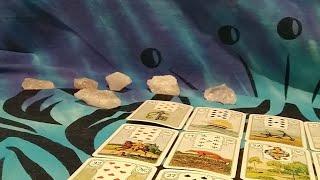 WAS DENKT ER / SIE + WAS FÜHLT ER / SIE + wie wird es weitergehen + was soll ich tun + LENORMAND