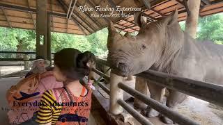 Rhino Feeding | Rhino Feeding | Khao Kheow | Khao Kheow ZOO #whiterhino #khaokheowzoo #rhinofeeding