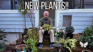 10 Awesome New Plants for the Garden