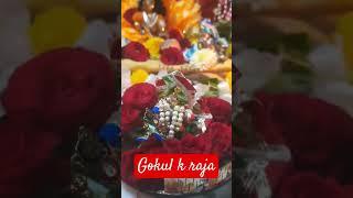 gokul k raja @ bansi dhar madhusudan