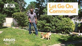 Play Tug with Your Dog: Simple Trick to Stay in Control | Argos Clips