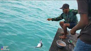 Rumah ini sudah menjadi sarang ikan mau makan tinggal mancing