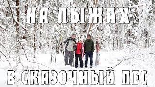 На лыжах в сказочный лес