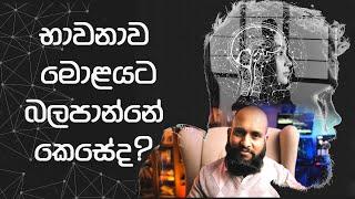 භාවනා කරද්දි මොළයට වෙන්නෙ මොකද්ද?