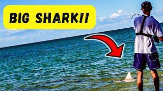 SHARKS, TARPON & BONEFISH - What a fishing trip! | Episode 10 - SERIES FINALE (4K)