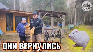 ВСЁ УСПЕТЬ ДО ЗИМЫ. ПЕРВЫЙ СНЕГ ,ПЕРЕПАХАТЬ И ВСЁ УБРАТЬ.