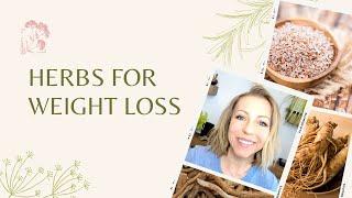 Herbs for Weight Loss