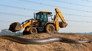 JCB 3dx Backhoe Loading Mud in Mahindra 475 JCB miti khudai work JCB video JCB farming #jcb #jcbmiti