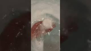 CAT PAW BATH BOMB ASMR