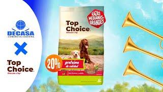 Top Choice - ¿Por qué tu perro ama el alimento que le das?