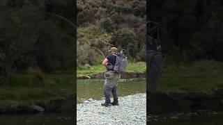 Classic New Zealand Trout Fishing - Bigger Fish Eats The Fly Instead of the 2 We Were Casting At!