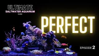 Ultimate Saltwater Aquarium Guide: Selecting the Perfect Aquarium