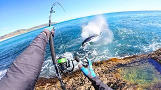 Sight Casting Giant Fish in Shallow Water! (Insane)