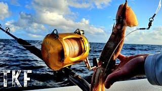 EPIC Offshore Fishing for Swordfish, Tuna, and Amberjack in Venice, LA