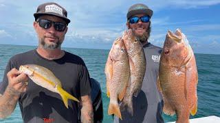 Is Spearfishing hard? Beginner Vs. Veteran | Managing Expectations