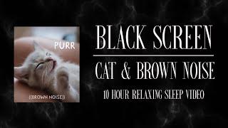 CAT PURRING & BROWN NOISE   l  10 Hours of Pet Sounds for Sleep  l  Black Screen